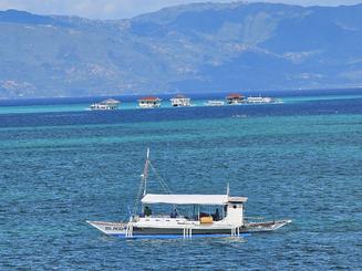 Boat Rental Manjuyod Sandbar and Bais Dolphin Watching in Negros Oriental PH