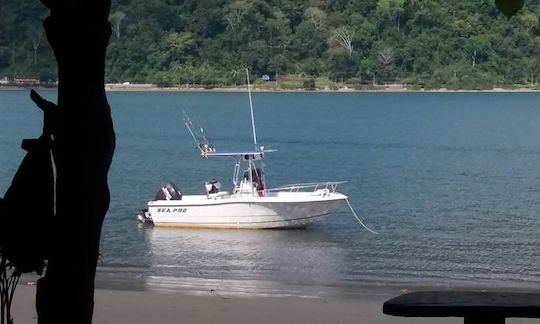 Fishing in Zancudo, Costa Rica on Center Console