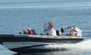 Bateau à moteur RIB à louer avec skipper à Gdynia | 3city | Pologne