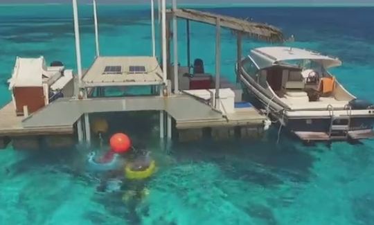 Aventure sous-marine en scooter à Bora Bora, Polynésie française