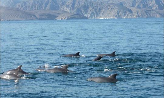 Alquiler privado de 2 días/noche Musandam - Khasab