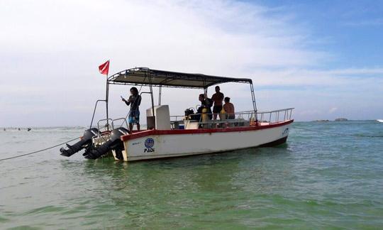 Disfrute de viajes y cursos de buceo en Hikkaduwa, Provincia del Sur