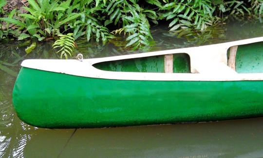 Alquiler de canoas en Kottayam