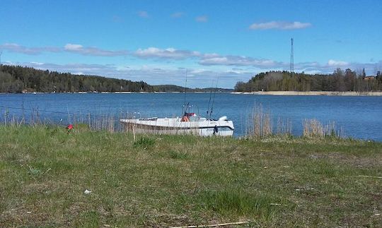 Divirta-se pescando em Turku, Finlândia!