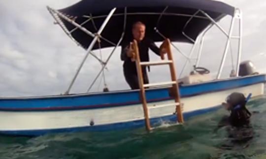 Expérience de plongée sous-marine à Bay Islands, au Honduras