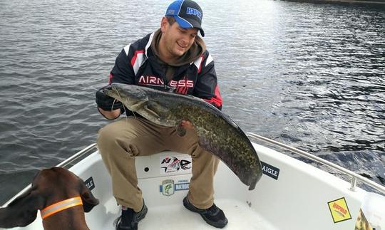 Enjoy Fishing in Coimbra, Portugal on Quicksilver 500 Center Console