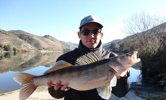 Enjoy Fishing in Coimbra, Portugal on Quicksilver 500 Center Console