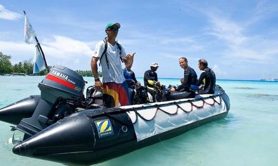 Excursions de plongée sous-marine à Avatoru, Polynésie française