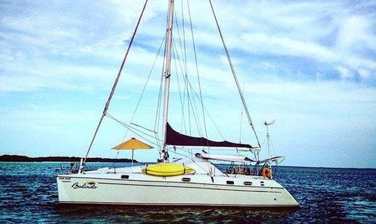 Catamarán de crucero Charter 48' Privilege - Balindo en Caribe Sur, Venezuela