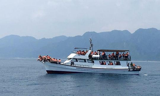 Excursion palpitante avec les dauphins dans la ville de Hualien, à Taïwan