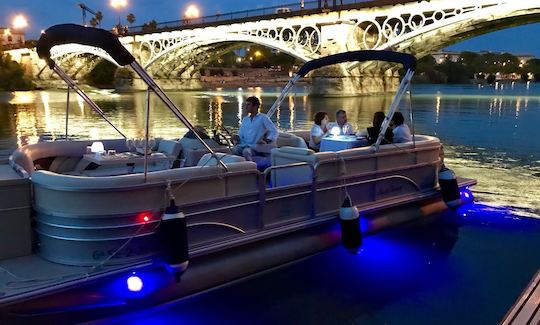 Enjoy Private Boat Trip On Pontoon In Sevilla, Spain