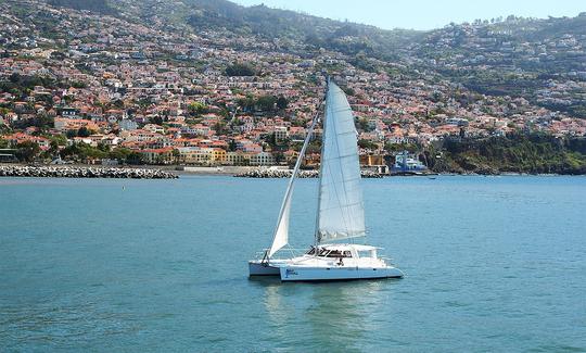 Observação de golfinhos e baleias em um catamarã à vela do Funchal, Madeira