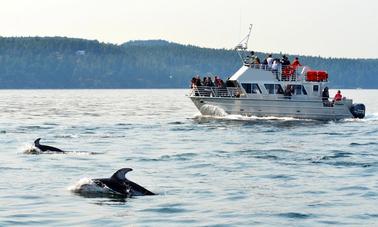 Passeio de barco de 38 pés em Eastsound, Washington