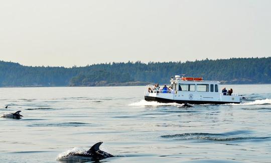 Tours de observación de ballenas en Eastsound, Washington