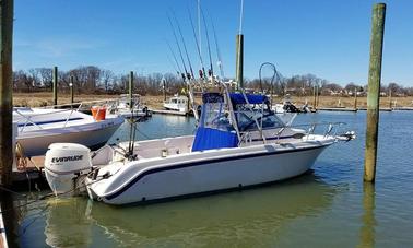 Fishing Charter On 25ft Well Craft Boat