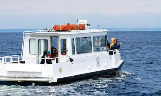 Tours de observación de ballenas en Eastsound, Washington