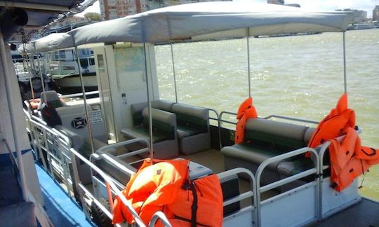 Charter a Pontoon in Tulcea, Romania