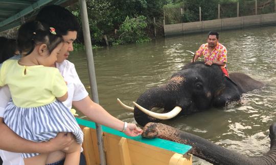 Tour ecológico em Phra Nakhon, Tailândia