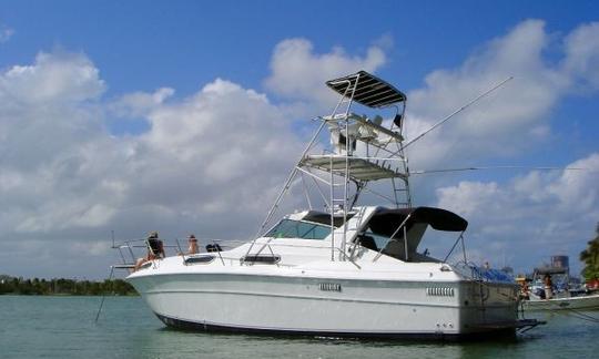 Plongée en apnée, pêche, croisière dans la mer des Caraïbes à Hopkins Belize