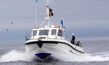 MV. Shore Diving trips in Saint Abbs