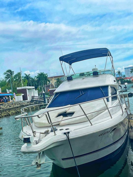 LA SOFIA | Yate Bayliner de 36 pies para crucero y pesca deportiva en PV.