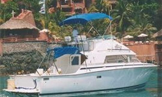 Fishing Charter '35ft Aries em Zihuatanejo