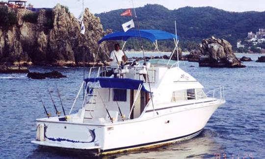 Fishing Charter '35ft Aries em Zihuatanejo