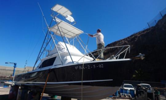 Alquiler del yate Bertram 31 Sportfishing en las Islas Canarias