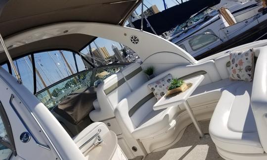 Best Day On The Water! Charter this 36' Sea Ray Sport Today! You'll Love it!