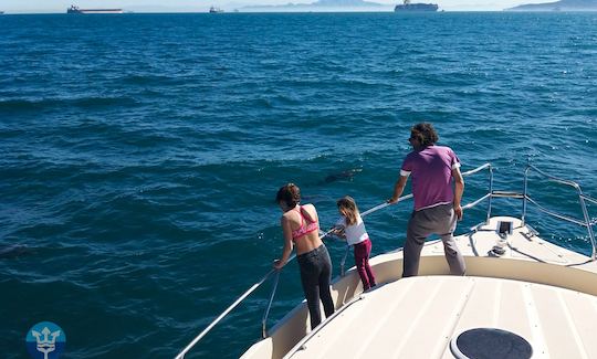 Tours across the Strait of Gibraltar; the opportunity to observe many cetacean species.