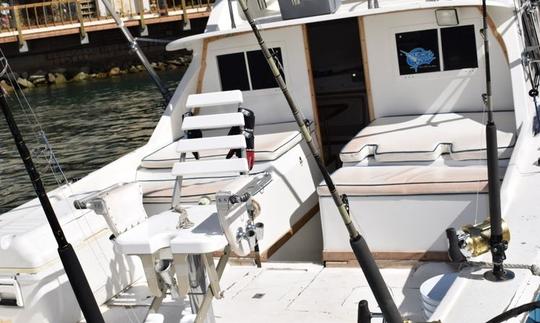 31' Bertram - Halcon Sport Fisherman Fishing Charter in Cabo San Lucas, Mexico