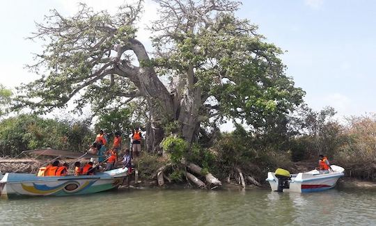 kalpitiya boat tours