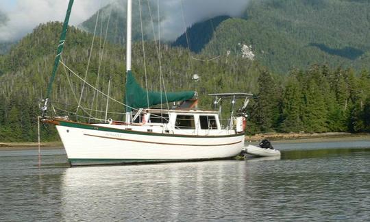 Disfrute de la naturaleza salvaje de la selva tropical de la Gran Osa desde nuestro espacioso velero Pilothouse Classic Cooper «Seawolf» de 39 pies