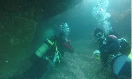 Leçon de plongée sous-marine pour débutants à Cork