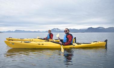 Sube a las aguas de Nordland en Noruega como nunca antes en kayak con tu mejor amigo