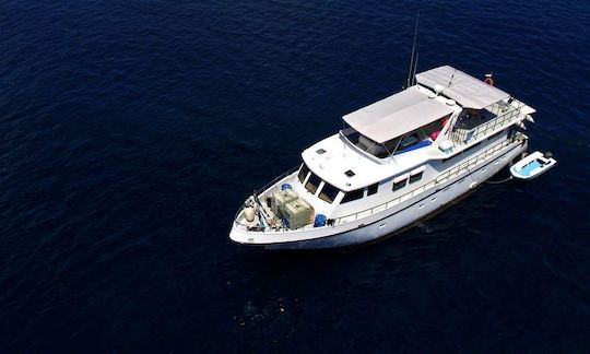 76' Surf Charter to Maluku Islands and West Papua, Sumbawa, Sumba and Timor.