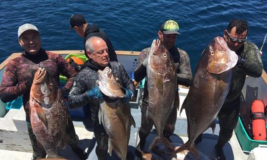 La Ventana Fishing/Diving Charter Aboard our 23 , 26 foot Pangas or 30 foot Catamaran