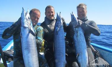 La Ventana Fishing/Diving Charter Aboard our 23 , 26 foot Pangas or 30 foot Catamaran