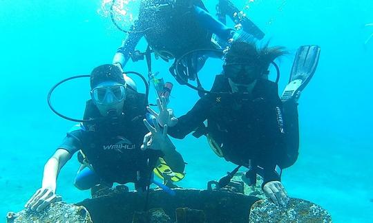 Diviértete con una clase de buceo y un recorrido por la gobernación de Aqaba, Jordania.