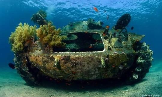 Diviértete con una clase de buceo y un recorrido por la gobernación de Aqaba, Jordania.