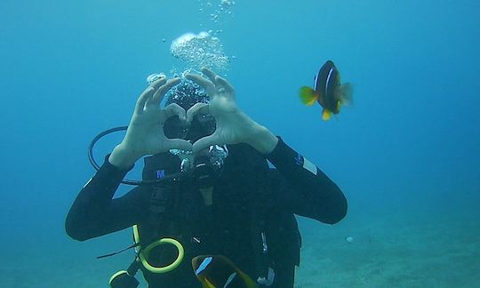 Awesome Diving Trips and Lessons available in Aqaba, Jordan