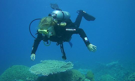 Awesome Diving Trips and Lessons available in Aqaba, Jordan