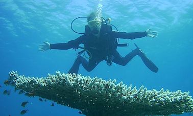 Awesome Diving Trips and Lessons available in Aqaba, Jordan