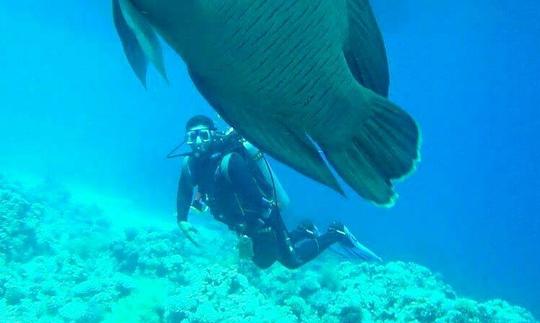 Partez à la plongée sous-marine et prenez des leçons de plongée dans le gouvernorat du Sinaï Sud, en Égypte