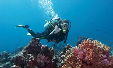 Experience Scuba Diving in Strovolos, Cyprus