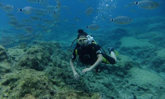 Découvrez le frisson de la plongée sous-marine à Protaras, à Chypre