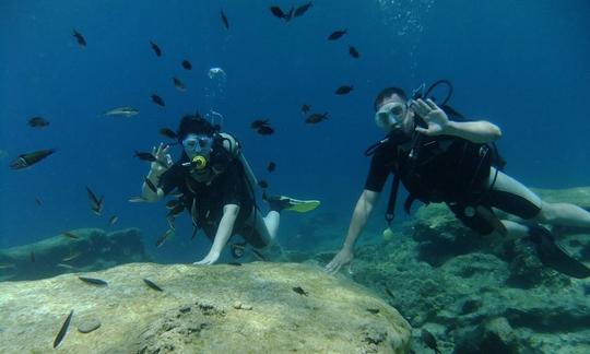 Découvrez le frisson de la plongée sous-marine à Protaras, à Chypre