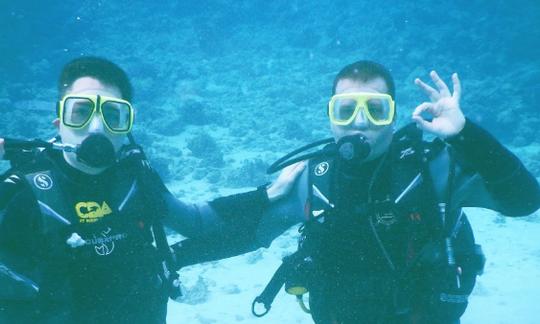 Mergulho e cursos de mergulho na província do Mar Vermelho, Egito