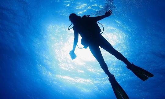 Clases de buceo en Coffee Gully, Barbados