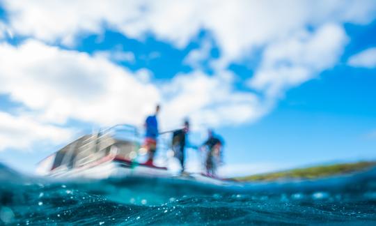 Boat dive with